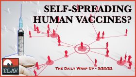 The Daily Wrap Up