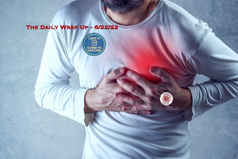 The Daily Wrap Up