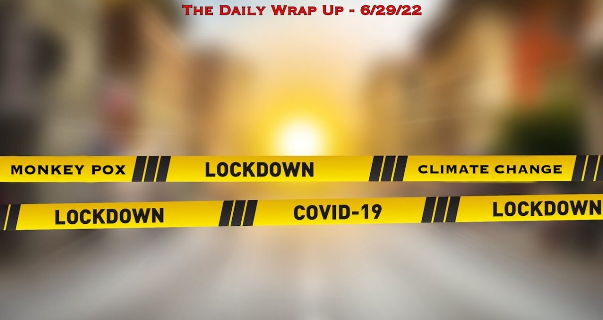 The Daily Wrap Up
