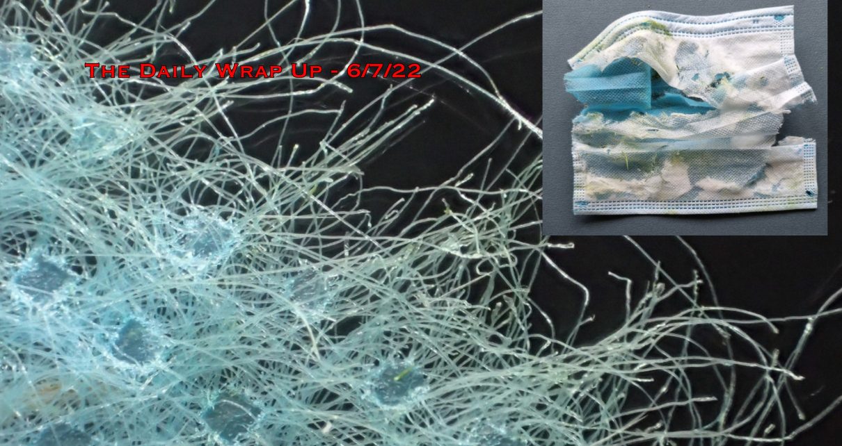 The Daily Wrap Up