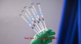 The Daily Wrap Up