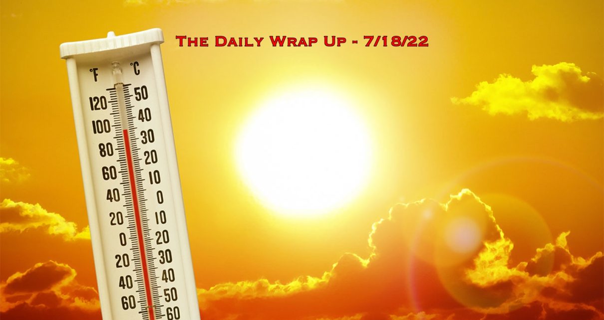 The Daily Wrap Up