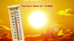 The Daily Wrap Up