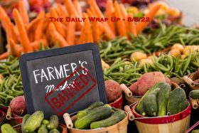 The Daily Wrap Up