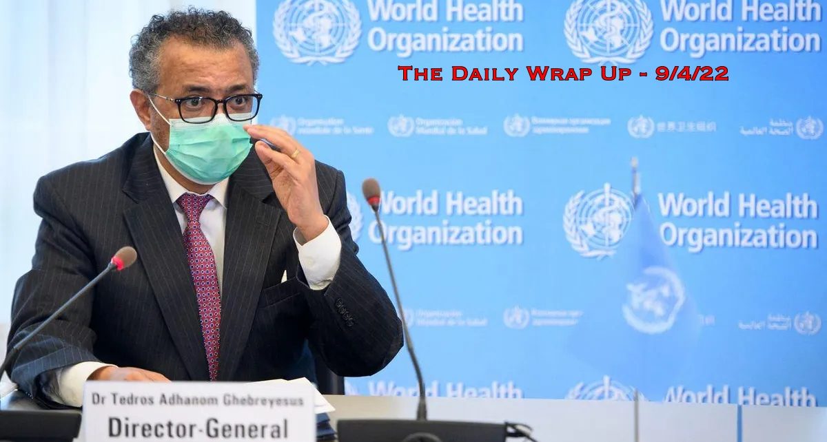 The Daily Wrap up
