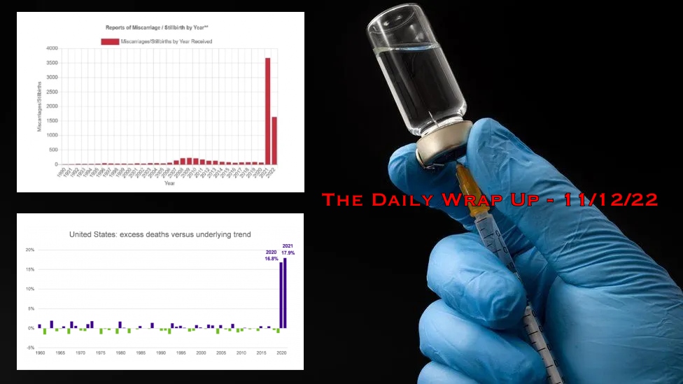 The Daily Wrap Up