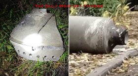 The Daily Wrap Up