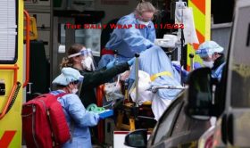 The Daily Wrap Up