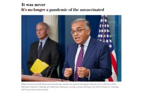 The Daily Wrap Up
