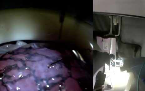 Neuralink