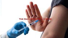 The Daily Wrap Up