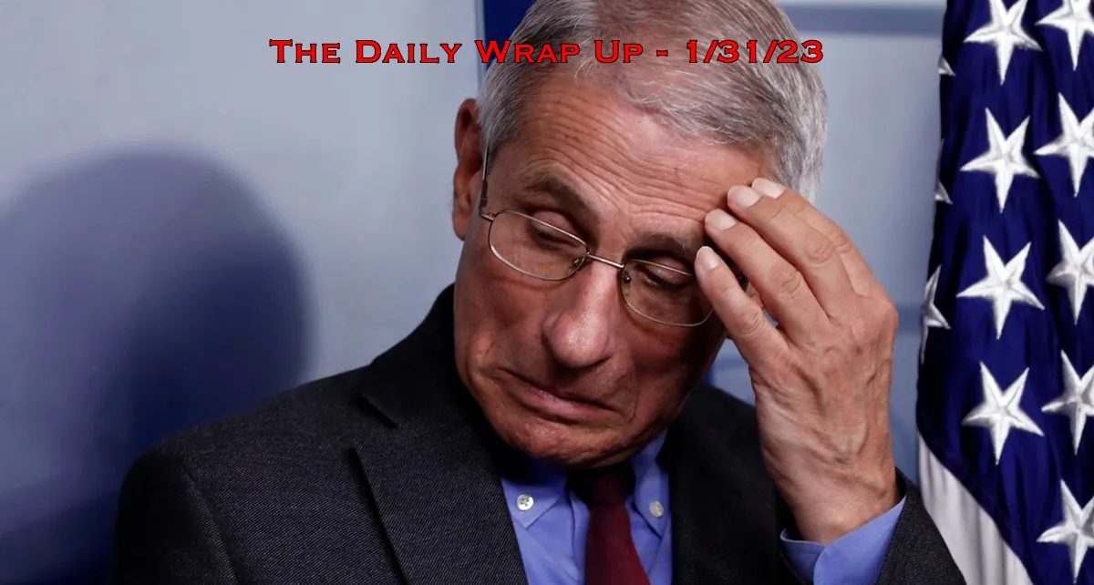 The Daily Wrap Up