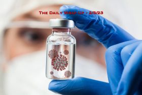 The Daily Wrap Up