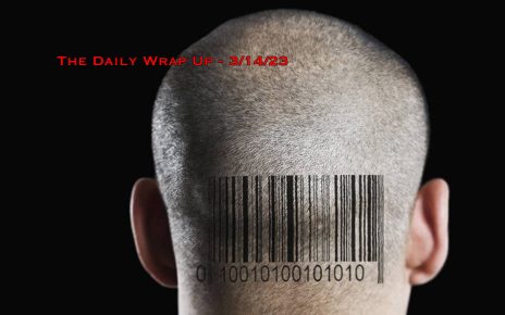 The Daily Wrap Up