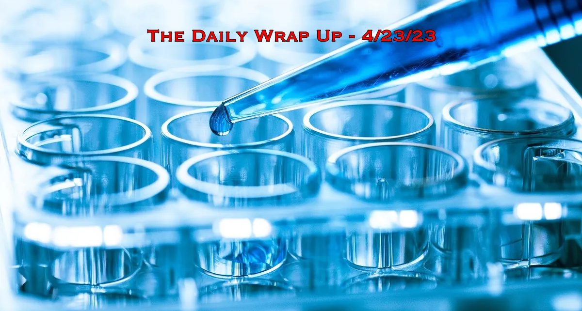The Daily Wrap Up