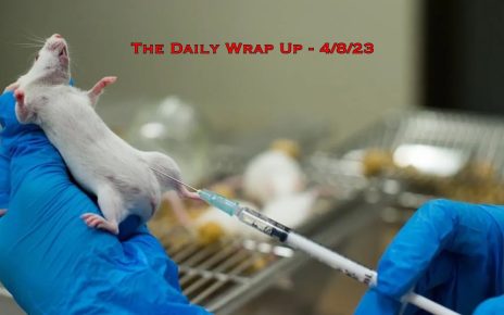 The Daily Wrap Up