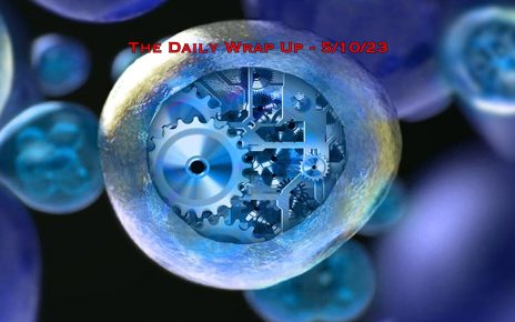 The Daily Wrap Up