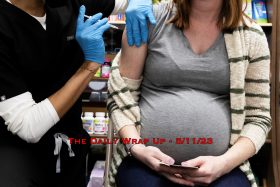 The Daily Wrap Up