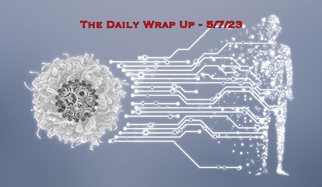 The Daily Wrap Up