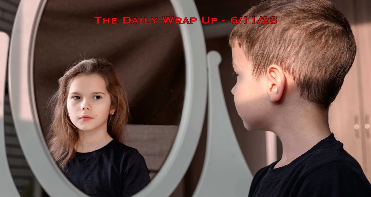The Daily Wrap up