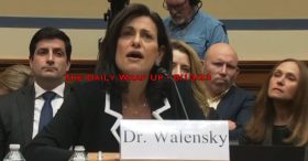 The Daily Wrap Up