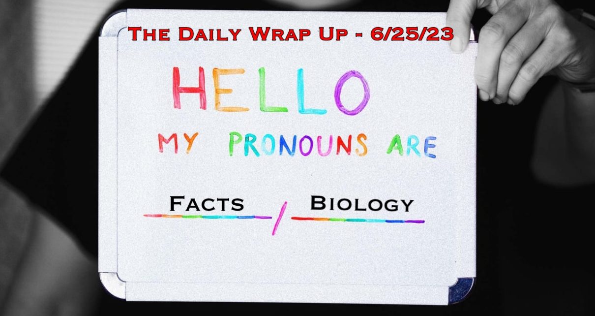 The Daily Wrap Up