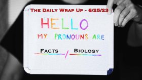 The Daily Wrap Up