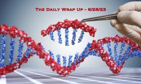 The Daily Wrap Up