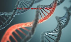 The Daily Wrap Up