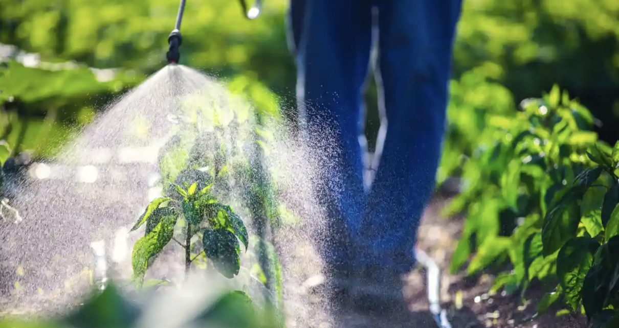 Pesticide