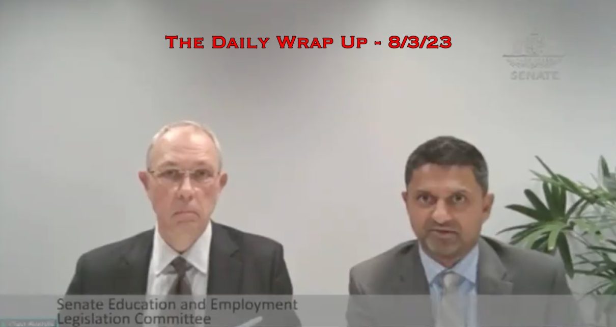 The Daily Wrap Up