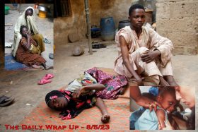 The Daily Wrap Up