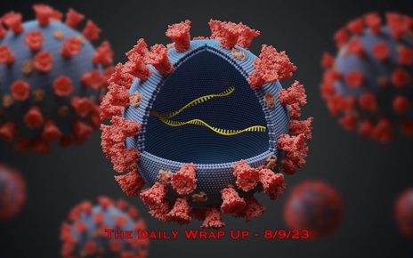 The Daily Wrap Up