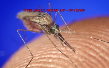 The Daily Wrap Up