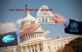 The Daily Wrap Up