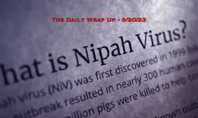 The Daily Wrap Up