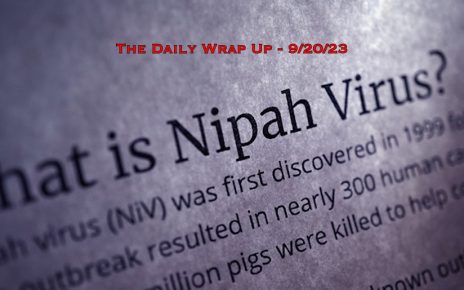 The Daily Wrap Up
