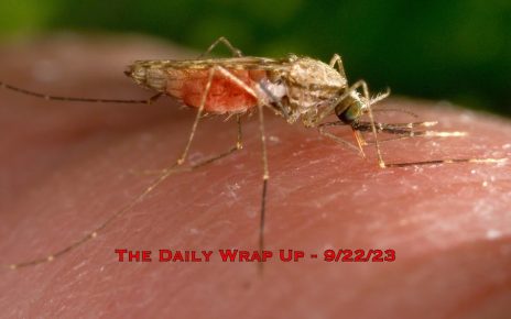 Mosquitoes