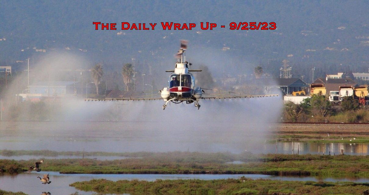 The Daily Wrap Up