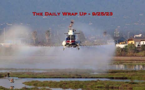The Daily Wrap Up