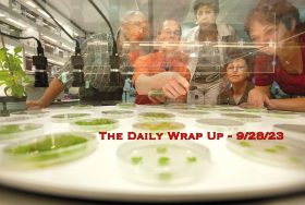 The Daily Wrap Up