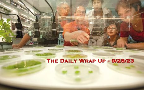 The Daily Wrap Up