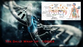 Internet of Bio-NanoThings