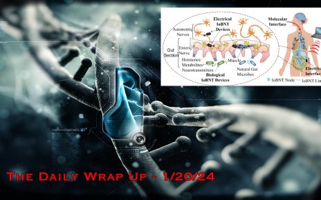 Internet of Bio-NanoThings