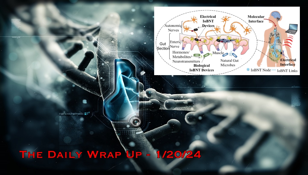 Internet of Bio-NanoThings