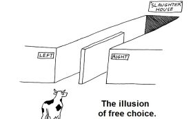 Anarchy