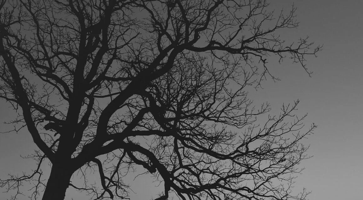 Dark Winter