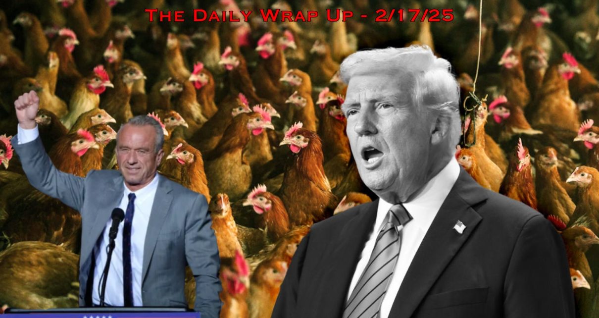 Bird Flu