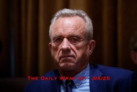 RFK Jr
