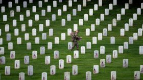 Veteran's Day